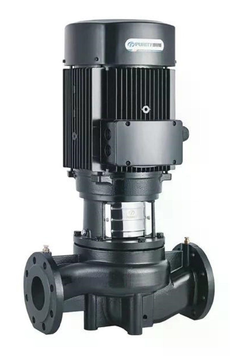 Насос циркуляционный PURITY INLINE PTD100-27/2 100590539