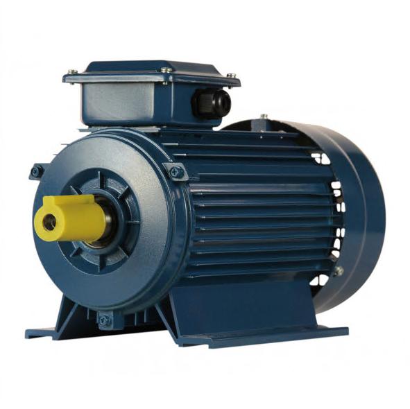 Электродвигатель 5Аи 90 L2 3/3000 IM 1081 01.01.213461