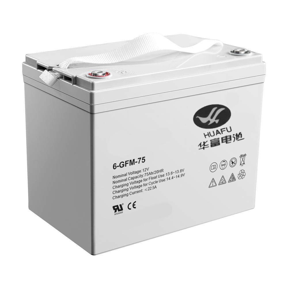 Аккумулятор TOR IWS/PWS/WS 12V/75Ah гелевый (Gel battery), для штабелеров 1002953