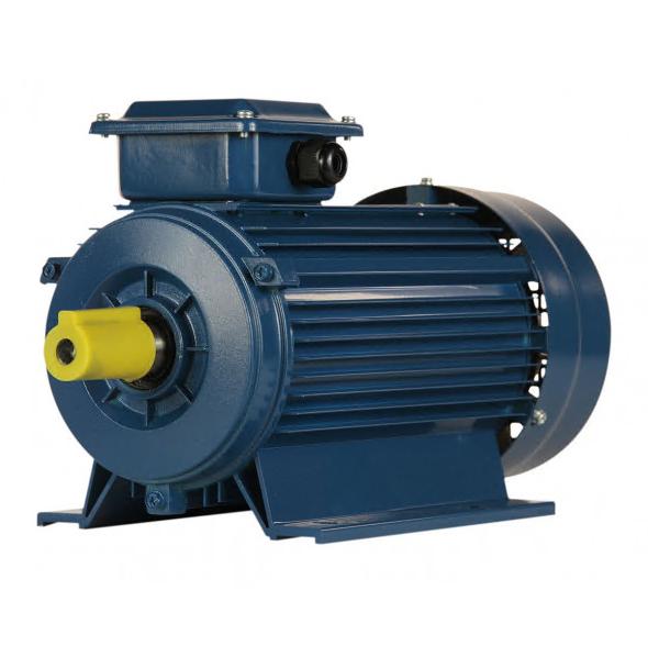 Электродвигатель 5Аи 90 L4 2.2/1500 IM 1081 01.01.213462
