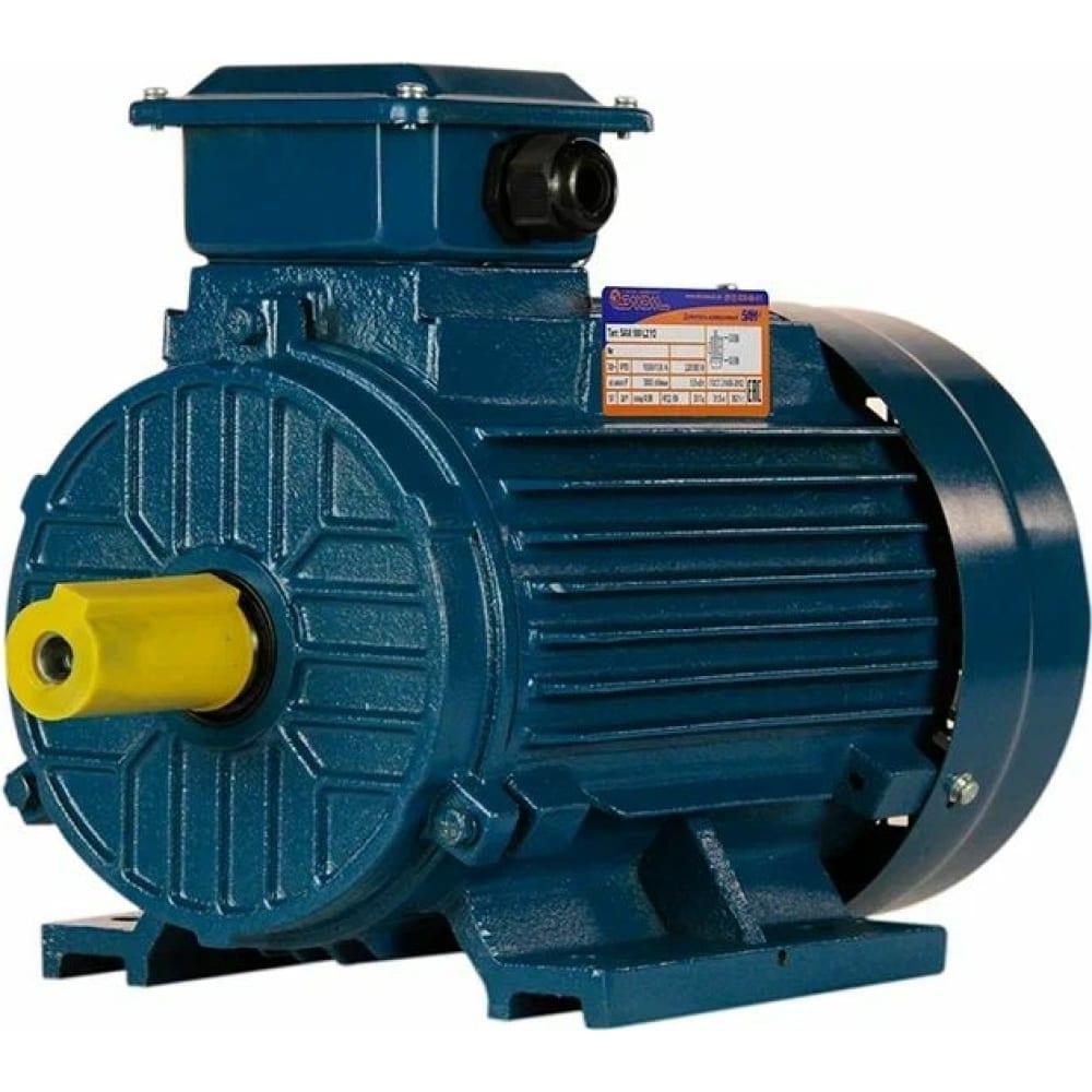 Электродвигатель 5Аи 100 L2 5.5/3000 IM 1081 01.01.213567