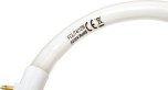 Лампа кольцевая REXANT 31-0808 люминесцентная 12Вт  №3