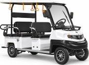 Гольфкар мини RUTRIKE Venus 60V 1500вт Белый 3333 026871-3333