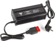 Зарядное устройство RUTRIKE 24V80AН (12A) Anderson для свинцовых тяговых аккумуляторов 024208