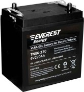 Аккумуляторная батарея EVEREST Energy TNE 6-270